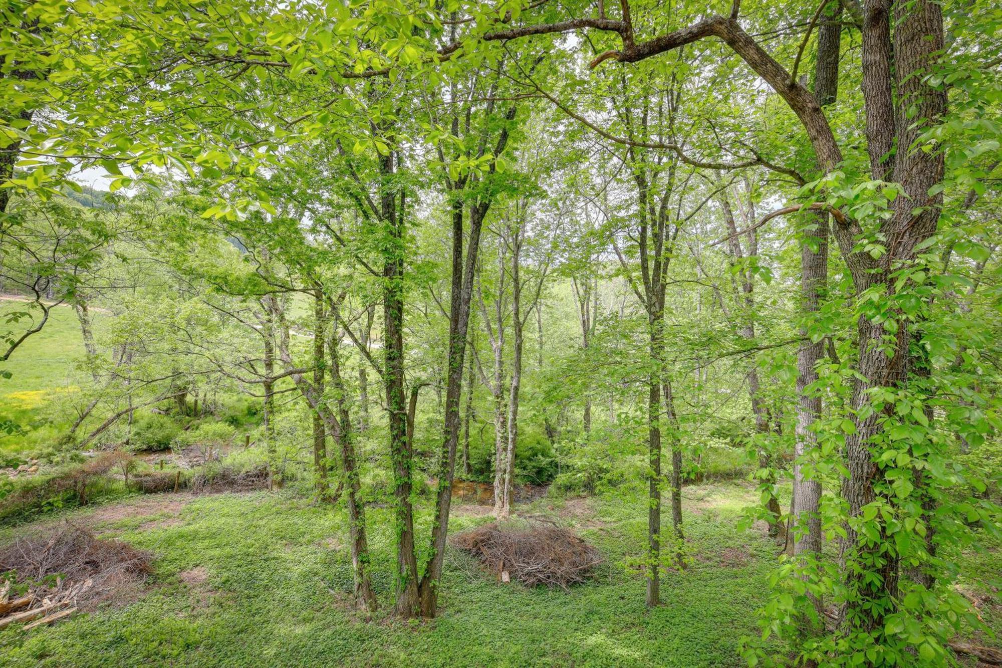 Quaint Blue Ridge Cabin Rental With On-Site Stream! Sparta Dış mekan fotoğraf